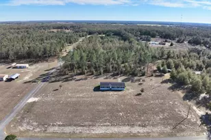 15473 157th Pt, Live Oak, FL 32060 - Photo 3