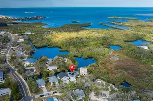 8447 Damen Ln, Port Richey, FL 34668 - Photo 9