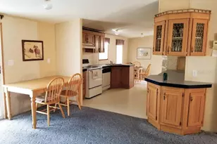 2016 Lake Linda Cir, Lutz, FL 33558 - Photo 13