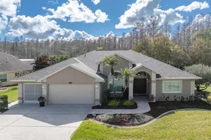 1105 Arlinbrook Dr, Trinity, FL 34655 - Photo 1