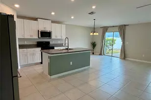 11206 Kelly Green Ave, Wimauma, FL 33598 - Photo 9