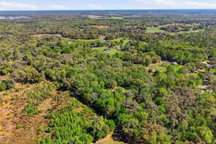 24350 Lanark Rd, Brooksville, FL 34601 - Photo 51