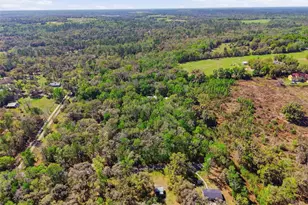24350 Lanark Rd, Brooksville, FL 34601 - Photo 53