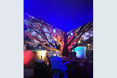 1111 Idlebriar Way, Tarpon Springs, FL 34689 - Photo 33