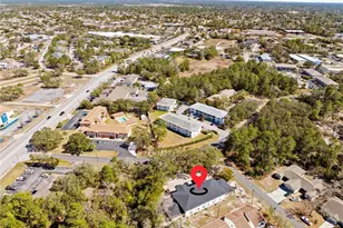 4217 Portillo Rd, Spring Hill, FL 34608 - Photo 45