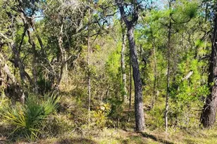 Lot 56 Michigan Ave, Weeki Wachee, FL 34613 - Photo 1