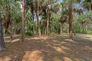 35 Captains Cove Rd, Inglis, FL 34449 - Photo 63