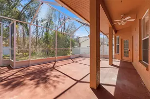 4730 Mahogany Ct, Land O Lakes, FL 34639 - Photo 47