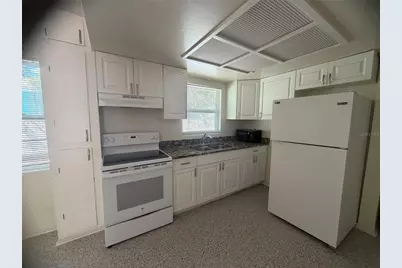817 Margo Street, Tarpon Springs, FL 34689 - Photo 3
