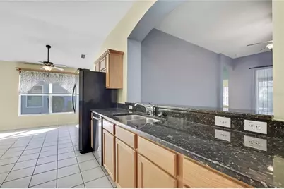 20738 Nectarine Place, Land O Lakes, FL 34637 - Photo 11