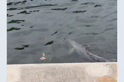 6436 Driftwood Drive, Hudson, FL 34667 - Photo 13