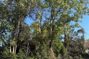 11230 Montcalm Rd, Spring Hill, FL 34608 - Photo 1