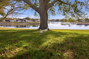 7406 Heather Walk Dr, Weeki Wachee, FL 34613 - Photo 5