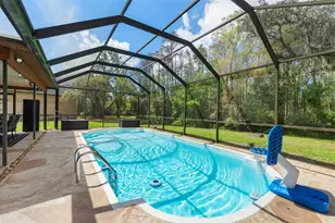 1357 Dinsmore Ct, New Port Richey, FL 34655 - Photo 3