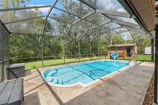 1357 Dinsmore Ct, New Port Richey, FL 34655 - Photo 39