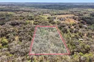 10423 Cheever Rd, Brooksville, FL 34601 - Photo 35