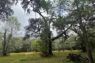 10423 Cheever Rd, Brooksville, FL 34601 - Photo 39