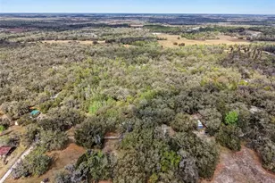 10423 Cheever Rd, Brooksville, FL 34601 - Photo 29