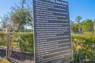 34382 Evergreen Hill Ct, Wesley Chapel, FL 33545 - Photo 69