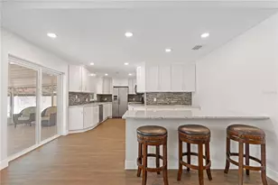 14114 Bardsdale Ln, Tampa, FL 33625 - Photo 9