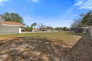 14114 Bardsdale Ln, Tampa, FL 33625 - Photo 5