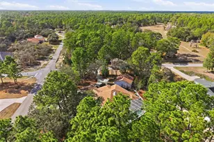 3563 W Blossom Dr, Beverly Hills, FL 34465 - Photo 45