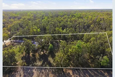 144 NE 159th Avenue, Old Town, FL 32680 - Photo 33