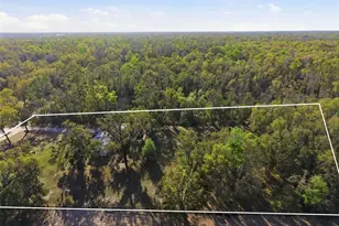 144 NE 159th Ave, Old Town, FL 32680 - Photo 33