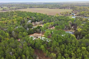 12092 S Hyacinth Point, Floral City, FL 34436 - Photo 81