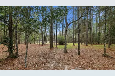 12092 S Hyacinth Point, Floral City, FL 34436 - Photo 65