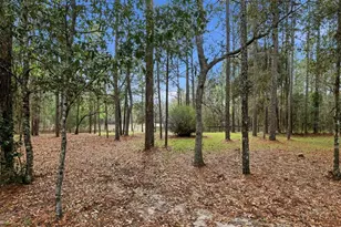 12092 S Hyacinth Point, Floral City, FL 34436 - Photo 65