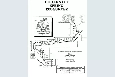 6241 Colony Circle, Weeki Wachee, FL 34607 - Photo 73