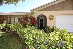 45 Turnstone Dr, Safety Harbor, FL 34695 - Photo 5