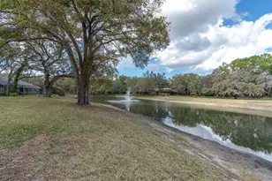 8823 Crescent Forest Blvd, New Port Richey, FL 34654 - Photo 43