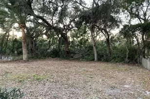 3588 Meriden Ave, Oldsmar, FL 34677 - Photo 21