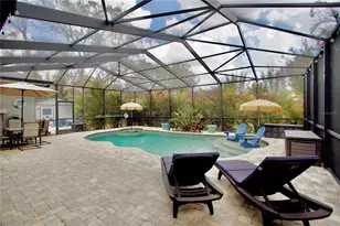 2920 Meadowood Dr, New Port Richey, FL 34655 - Photo 33