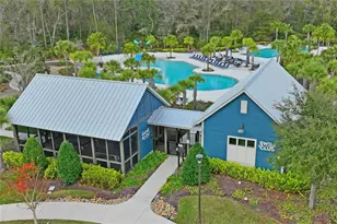 4124 Cadence Loop, Land O Lakes, FL 34638 - Photo 59