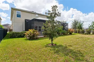 4124 Cadence Loop, Land O Lakes, FL 34638 - Photo 41
