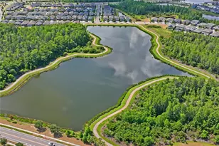 4124 Cadence Loop, Land O Lakes, FL 34638 - Photo 67