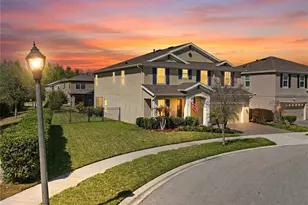 4124 Cadence Loop, Land O Lakes, FL 34638 - Photo 1