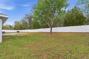 3902 W Featheredge Ct, Lecanto, FL 34461 - Photo 19