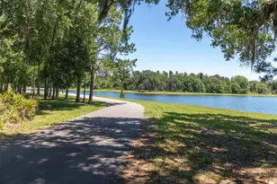 13773 Stansil Ave, Odessa, FL 33556 - Photo 55