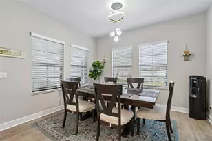 4300 Burdick Loop, Odessa, FL 33556 - Photo 13