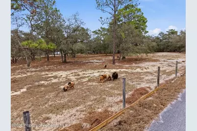 12124 Squeeze Avenue, Brooksville, FL 34614 - Photo 61
