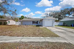 13911 Pathfinder Dr, Tampa, FL 33625 - Photo 3