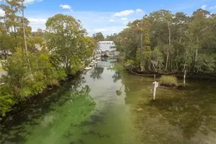 5527 Darlene St, Weeki Wachee, FL 34607 - Photo 57