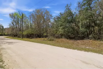 [Address not provided], Webster, FL 33597 - Photo 3