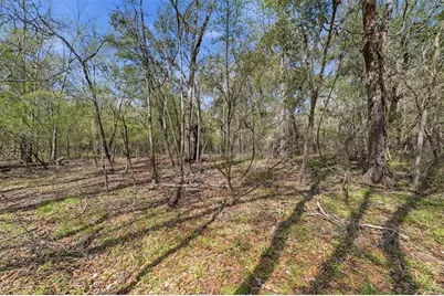 [Address not provided], Webster, FL 33597 - Photo 17