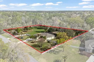 1378 Matthew Ave, Spring Hill, FL 34609 - Photo 3