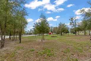 1378 Matthew Ave, Spring Hill, FL 34609 - Photo 37